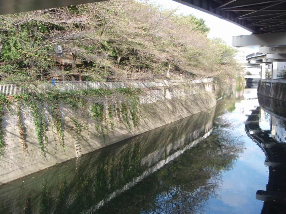 【公園】区立江戸川公園まで277ｍ