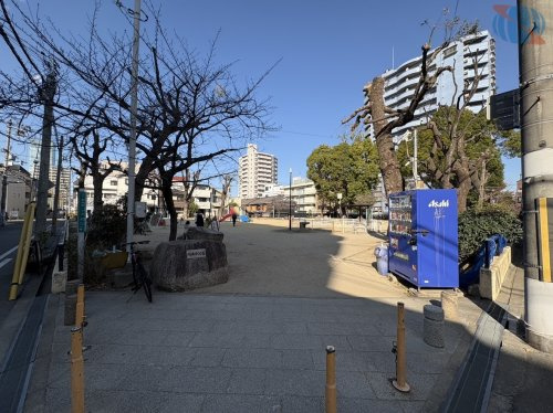【公園】阪南中公園まで681ｍ