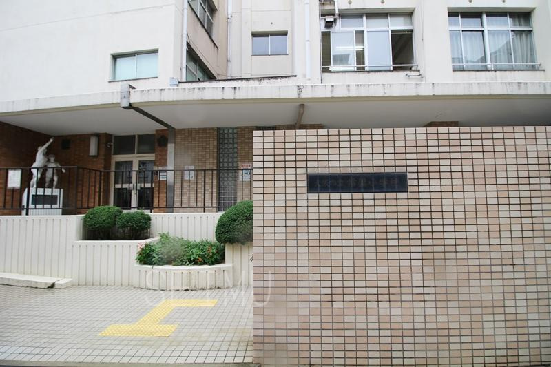 【小学校】大阪市立常盤小学校まで557ｍ