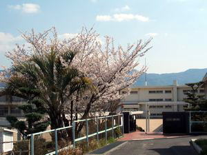 【小学校】川原小学校まで1391ｍ