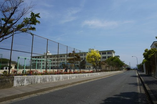 【小学校】福岡市立青葉小学校まで1248ｍ