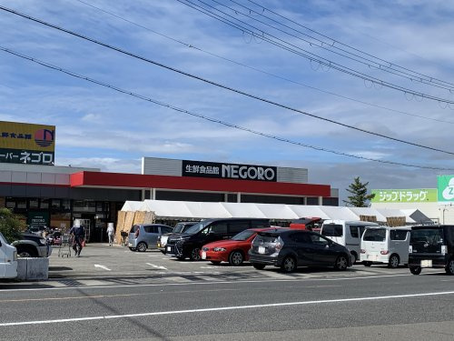 【スーパー】スーパーネゴロ　打田店まで1276ｍ