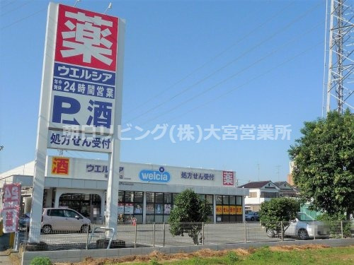 【ドラッグストア】ウエルシア桶川泉店まで335ｍ