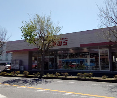 【その他】しまむら長浦店まで975ｍ