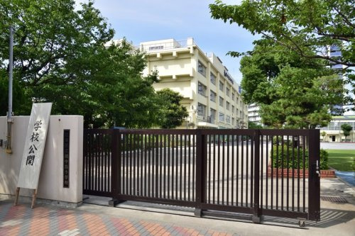 【小学校】江東区立越中島小学校まで437ｍ