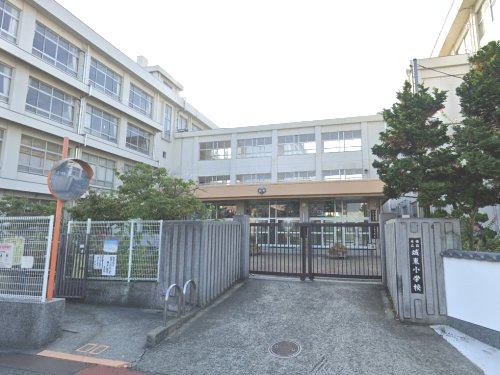 【小学校】姫路市立城東小学校まで554ｍ