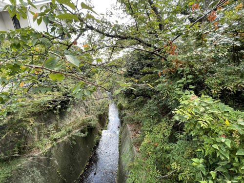 【公園】朝日ケ丘緑地まで1127ｍ
