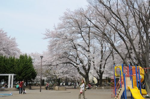【公園】松が枝公園まで719ｍ