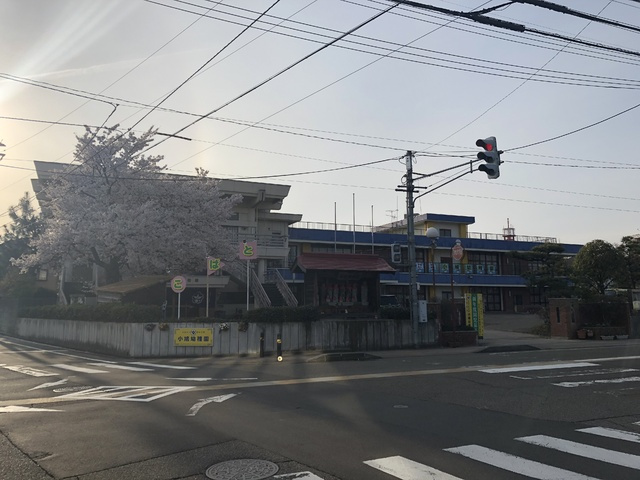 【幼稚園】小鳩幼稚園まで482ｍ