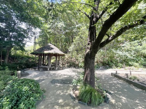 【公園】中野区立哲学堂公園まで80ｍ