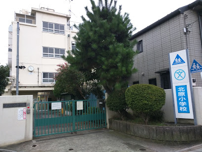 【小学校】中野区立北原小学校まで505ｍ