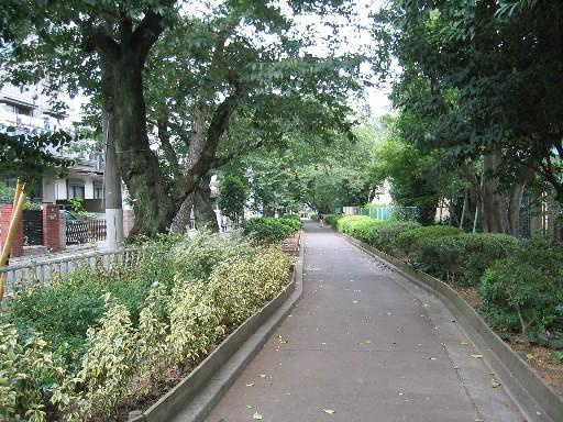【その他】蛇崩川緑道まで164ｍ
