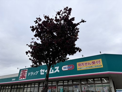 【ドラッグストア】ドラッグセイムス　加納店まで2555ｍ