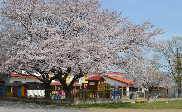 【幼稚園】八千代中央幼稚園まで3440ｍ