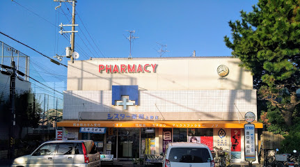 【ドラッグストア】シスター薬局　上野支店まで828ｍ
