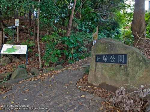 【公園】戸塚公園まで729ｍ