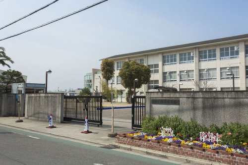 【小学校】堺市立白鷺小学校まで630ｍ