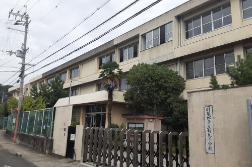【小学校】羽曳野市立白鳥小学校まで930ｍ
