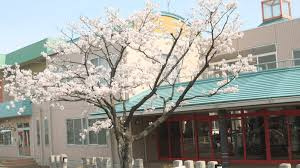 【保育園】幼保連携型認定こども園　菖蒲幼稚園まで316ｍ