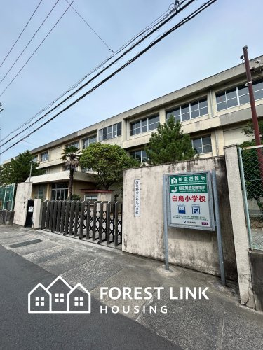 【小学校】羽曳野市立白鳥小学校まで887ｍ