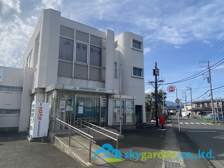 【銀行】JA湘南金田支所まで466ｍ