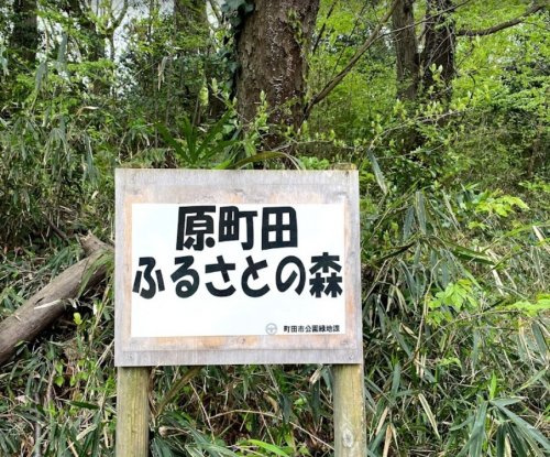 【公園】原町田ふるさとの森まで322ｍ
