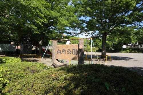 【公園】向原公園まで303ｍ