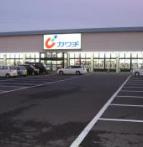 【ドラッグストア】カワチ薬品　ひたちなか店まで260ｍ