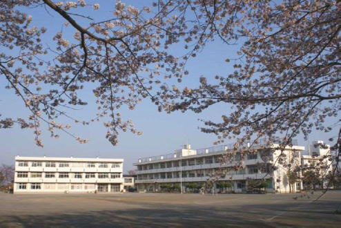 【小学校】海老名市立上星小学校まで573ｍ