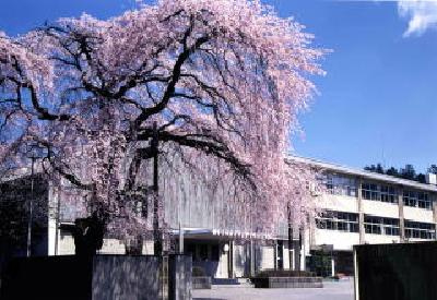 【小学校】宇都宮市立明保小学校まで655ｍ