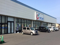 【ドラッグストア】カワチ薬品　那珂店まで381ｍ