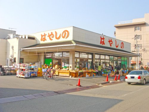 【スーパー】はやしの田寺店まで1055ｍ