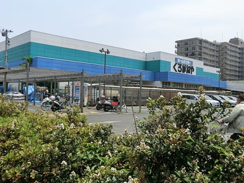 【ホームセンター】くろがねや　海老名下今泉店まで2167ｍ