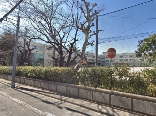 【中学校】葛飾区立桜道中学校まで1034ｍ