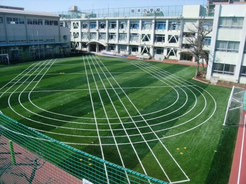 【小学校】新宿区立柏木小学校まで772ｍ