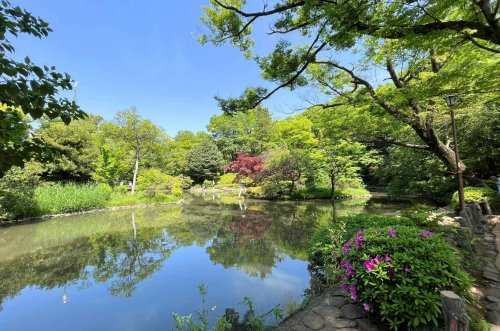 【公園】有栖川宮記念公園まで275ｍ