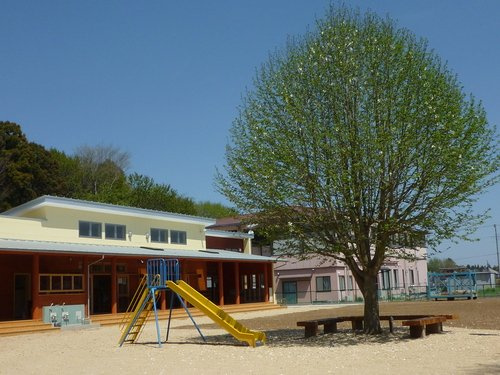 【保育園】島名杉の子保育園まで509ｍ