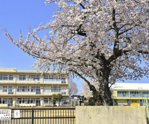 【小学校】本庄市立　仁手小学校まで1669ｍ