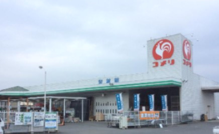 【ホームセンター】コメリハード＆グリーン神川店まで395ｍ