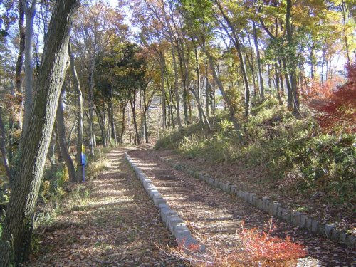 【公園】立野緑地まで965ｍ