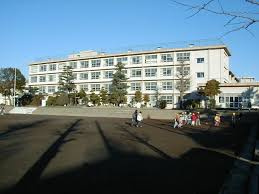 【小学校】平塚市立富士見小学校まで1045ｍ