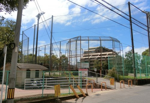 【公園】紫原中央公園まで474ｍ