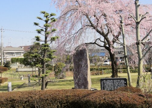 【公園】新田沼公園まで618ｍ