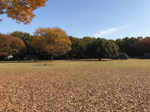 【公園】水子貝塚公園まで660ｍ