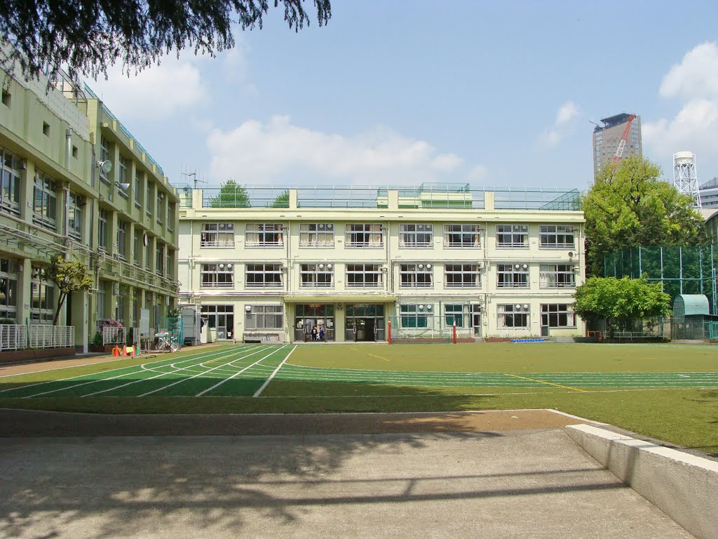 【小学校】渋谷区立猿楽小学校まで661ｍ