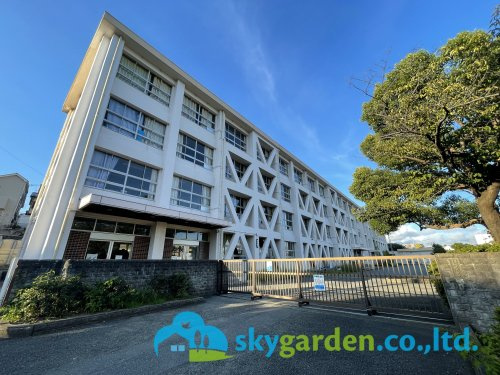 【小学校】藤沢市立村岡小学校まで1556ｍ