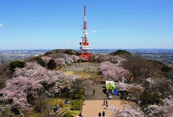 【公園】高麗山公園まで2339ｍ