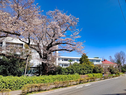 【中学校】私立明治学院中学校まで1146ｍ