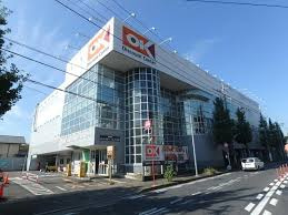 【スーパー】OK　野川店まで810ｍ