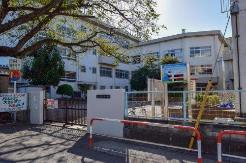 【小学校】市川市立大柏小学校まで840ｍ